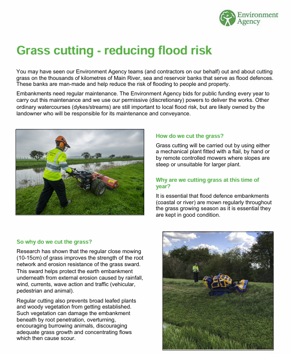 grass cutting